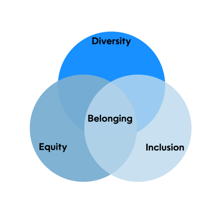 Diversity Equity Inclusion Belonging Graph