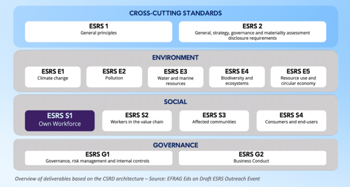 A chart showing the 12 standards as part of the ESRS