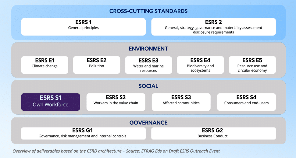 A chart showing the 12 standards as part of the ESRS